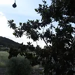 Bed & Breakfast Il Gelso Di Barcuzzi Lonato