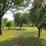 Il Gelso Di Barcuzzi