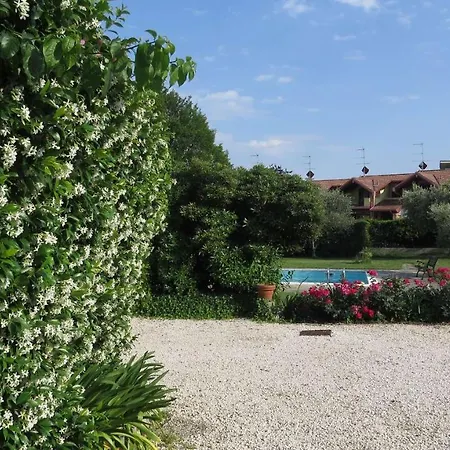 Il Gelso Di Barcuzzi *