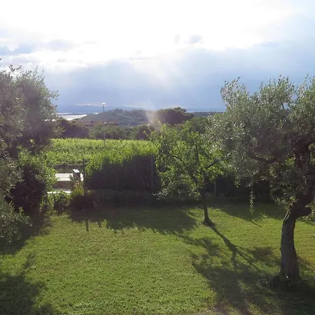 Il Gelso Di Barcuzzi Lonato