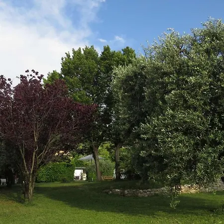 Bed and Breakfast Il Gelso Di Barcuzzi
