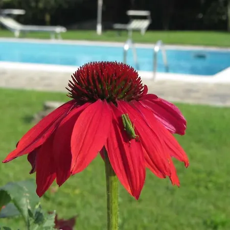 Bed and Breakfast Il Gelso Di Barcuzzi
