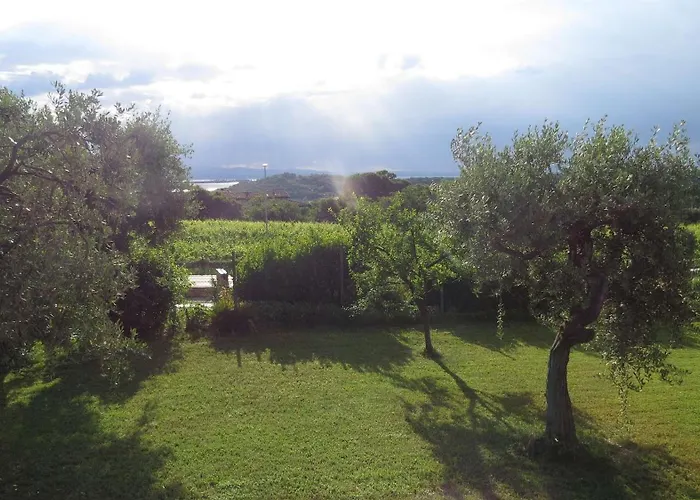 Il Gelso Di Barcuzzi Lonato