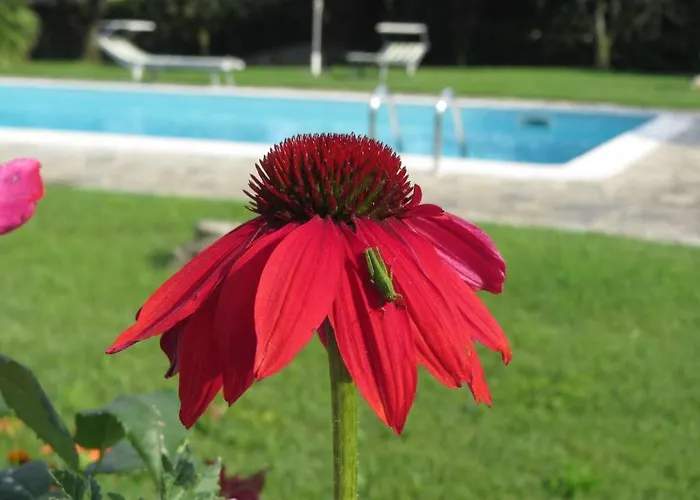 Nocleg ze śniadaniem Il Gelso Di Barcuzzi