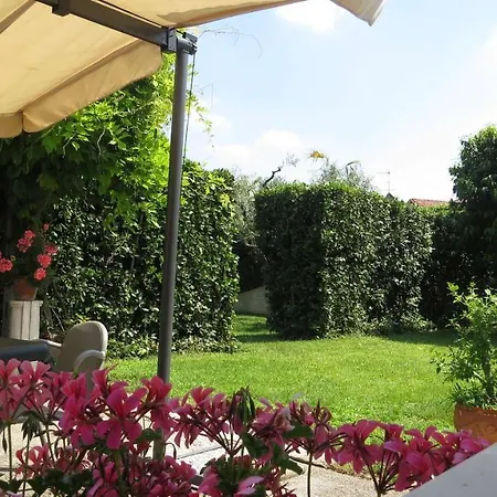 Il Gelso Di Barcuzzi *