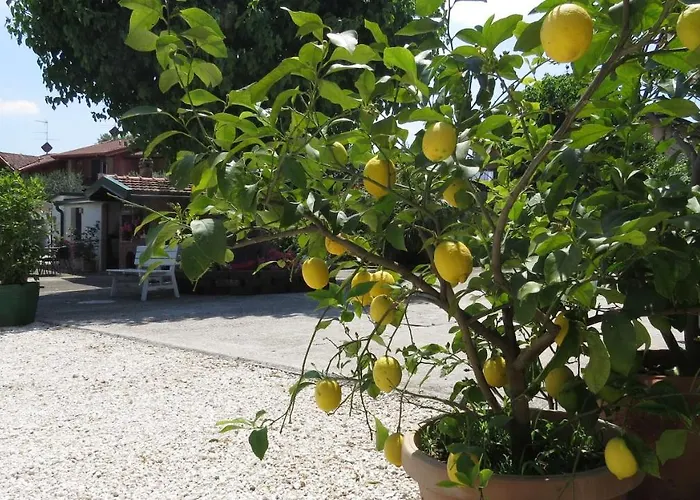 Il Gelso Di Barcuzzi * Лонато