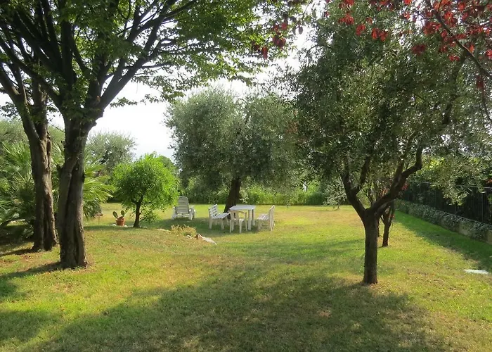 Il Gelso Di Barcuzzi
