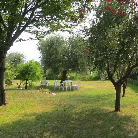 Il Gelso Di Barcuzzi
